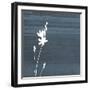 Granite Flower-Jace Grey-Framed Art Print