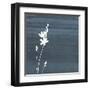 Granite Flower-Jace Grey-Framed Art Print