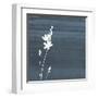 Granite Flower-Jace Grey-Framed Art Print