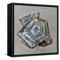 Granite Font  2020  (photograph)-Ant Smith-Framed Stretched Canvas