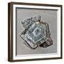 Granite Font  2020  (photograph)-Ant Smith-Framed Photographic Print