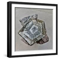 Granite Font  2020  (photograph)-Ant Smith-Framed Photographic Print