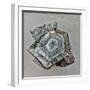 Granite Font  2020  (photograph)-Ant Smith-Framed Photographic Print
