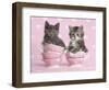 Granite & Jasmine-Rachael Hale-Framed Photographic Print