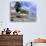 Granite Outcrops, La Digue Island, Seychelles, Africa-Pete Oxford-Photographic Print displayed on a wall