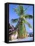 Granite Outcrops, La Digue Island, Seychelles, Africa-Pete Oxford-Framed Stretched Canvas