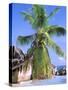 Granite Outcrops, La Digue Island, Seychelles, Africa-Pete Oxford-Stretched Canvas