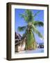 Granite Outcrops, La Digue Island, Seychelles, Africa-Pete Oxford-Framed Photographic Print