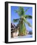 Granite Outcrops, La Digue Island, Seychelles, Africa-Pete Oxford-Framed Photographic Print