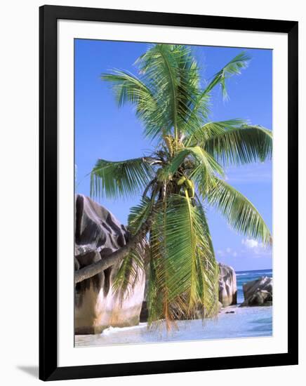 Granite Outcrops, La Digue Island, Seychelles, Africa-Pete Oxford-Framed Photographic Print