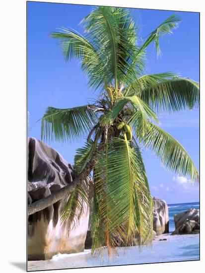 Granite Outcrops, La Digue Island, Seychelles, Africa-Pete Oxford-Mounted Photographic Print