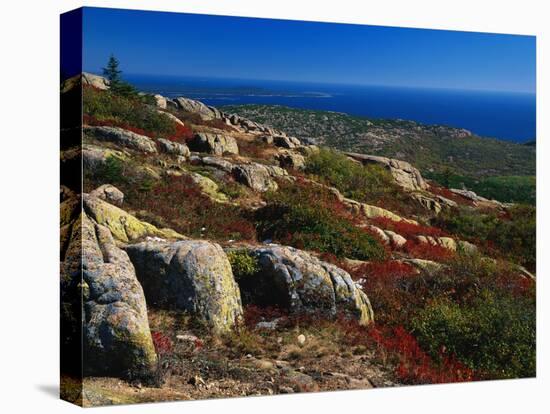 Granite Outcrops on Cadillac Mountain-James Randklev-Stretched Canvas