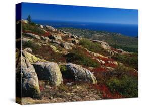 Granite Outcrops on Cadillac Mountain-James Randklev-Stretched Canvas