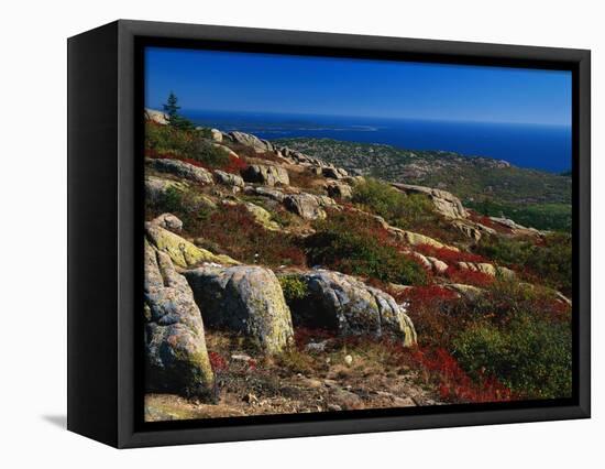 Granite Outcrops on Cadillac Mountain-James Randklev-Framed Stretched Canvas