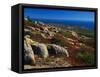 Granite Outcrops on Cadillac Mountain-James Randklev-Framed Stretched Canvas