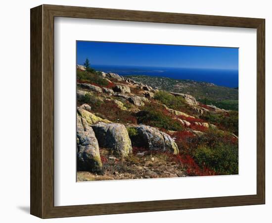 Granite Outcrops on Cadillac Mountain-James Randklev-Framed Photographic Print