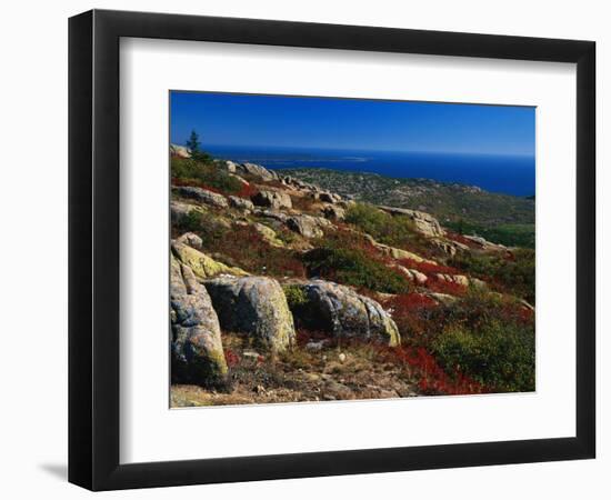 Granite Outcrops on Cadillac Mountain-James Randklev-Framed Photographic Print