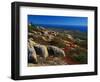 Granite Outcrops on Cadillac Mountain-James Randklev-Framed Photographic Print