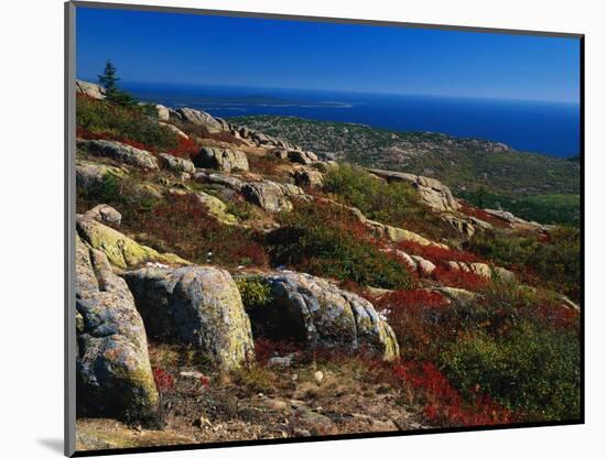 Granite Outcrops on Cadillac Mountain-James Randklev-Mounted Photographic Print