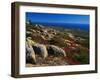 Granite Outcrops on Cadillac Mountain-James Randklev-Framed Photographic Print