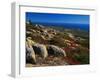 Granite Outcrops on Cadillac Mountain-James Randklev-Framed Photographic Print