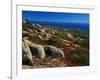 Granite Outcrops on Cadillac Mountain-James Randklev-Framed Photographic Print
