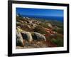 Granite Outcrops on Cadillac Mountain-James Randklev-Framed Photographic Print