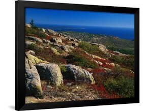 Granite Outcrops on Cadillac Mountain-James Randklev-Framed Photographic Print