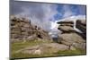 Granite outcrops on Middle Staple Tor in Dartmoor National Park, Devon, England-Adam Burton-Mounted Photographic Print