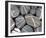 Granite Pebbles-Calvert-Framed Art Print