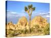 Granite Rock Formation and Joshua Tree, Joshua Tree National Park, California, Usa-Jamie & Judy Wild-Stretched Canvas