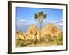 Granite Rock Formation and Joshua Tree, Joshua Tree National Park, California, Usa-Jamie & Judy Wild-Framed Photographic Print