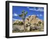 Granite Rock Formation and Joshua Tree, Joshua Tree National Park, California, Usa-Jamie & Judy Wild-Framed Photographic Print