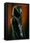 Granite Statue of Tutankhamun, 2007 (Photo)-Kenneth Garrett-Framed Stretched Canvas