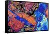 Granite, Thin Section, Polarised LM-PASIEKA-Framed Stretched Canvas