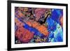 Granite, Thin Section, Polarised LM-PASIEKA-Framed Photographic Print