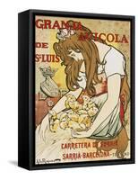 Granja Avicola de Sn. Luis, 1896-Alejandro De Riquer-Framed Stretched Canvas