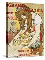 Granja Avicola de Sn. Luis, 1896-Alejandro De Riquer-Stretched Canvas
