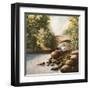 Grant Park-Bruce Nawrocke-Framed Art Print