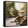 Grant Park-Bruce Nawrocke-Framed Stretched Canvas