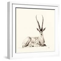 Grant's Gazelle, 2012,-Francesca Sanders-Framed Giclee Print