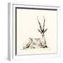 Grant's Gazelle, 2012,-Francesca Sanders-Framed Giclee Print