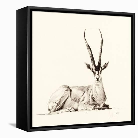 Grant's Gazelle, 2012,-Francesca Sanders-Framed Stretched Canvas