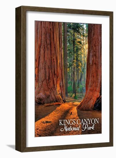 Grants Grove - Kings Canyon National Park, California-Lantern Press-Framed Art Print