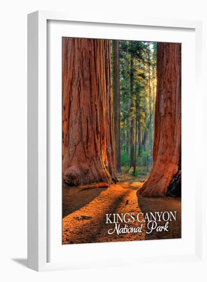 Grants Grove - Kings Canyon National Park, California-Lantern Press-Framed Art Print