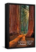 Grants Grove - Kings Canyon National Park, California-Lantern Press-Framed Stretched Canvas