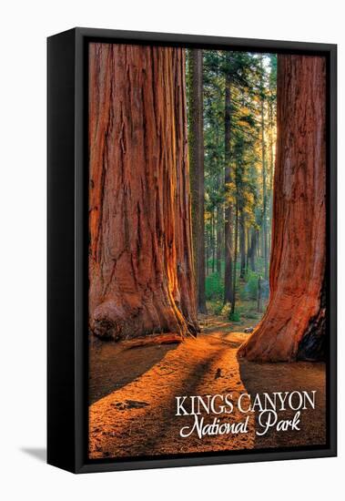 Grants Grove - Kings Canyon National Park, California-Lantern Press-Framed Stretched Canvas