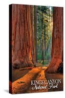 Grants Grove - Kings Canyon National Park, California-Lantern Press-Stretched Canvas