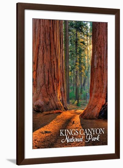 Grants Grove - Kings Canyon National Park, California-Lantern Press-Framed Art Print