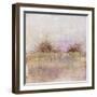 Granulated Amethyst-Maeve Harris-Framed Giclee Print